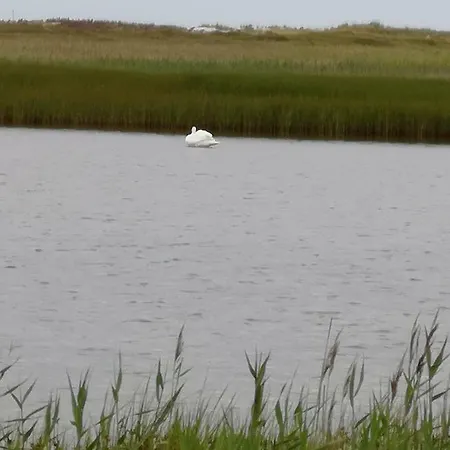 Marina An Der Ostsee Διαμέρισμα